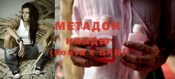 стаф Алзамай