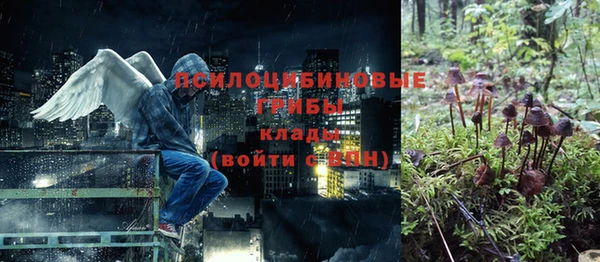 стаф Алзамай