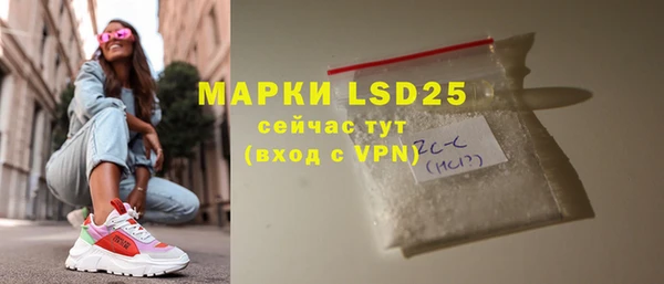 стаф Алзамай