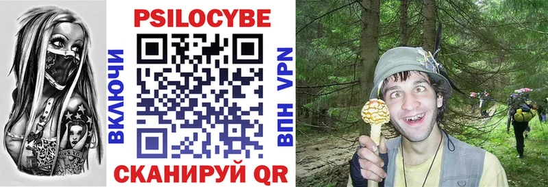 OMG зеркало  Невинномысск  Псилоцибиновые грибы прущие грибы  как найти  